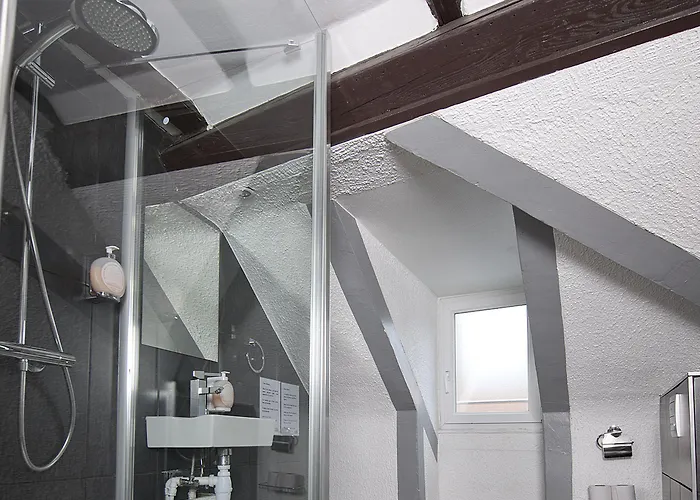 Le Grillon 3* Strasbourg